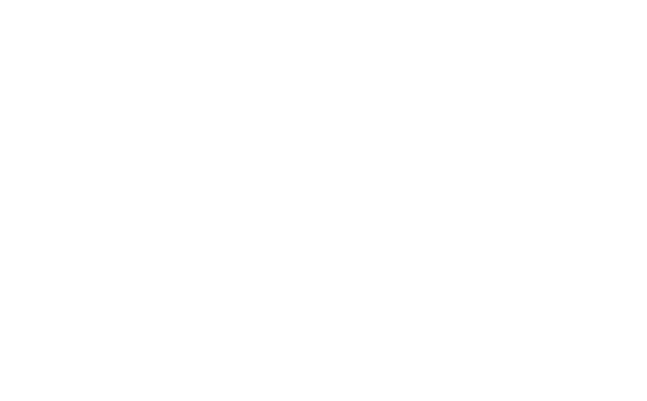 完全 定額制