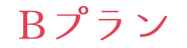 Bプラン